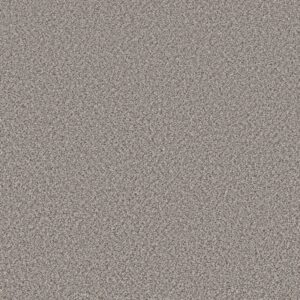 Shaw Floors Carpet Feelin' Alright Exposed Beam 00520_5E741