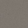 Shaw Floors Carpet Feelin' Alright Washed Suede 00521_5E741