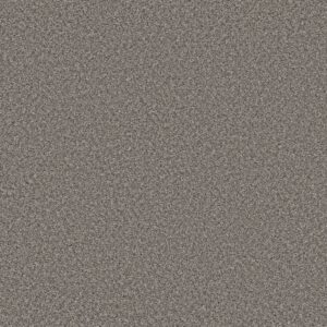Shaw Floors Carpet Feelin' Alright Washed Suede 00521_5E741