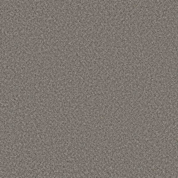 Shaw Floors Carpet Feelin' Alright Washed Suede 00521_5E741