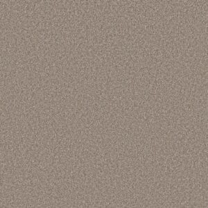 Shaw Floors Carpet New Attitude Bali Sand 00110_5E743