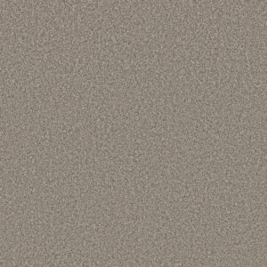 Shaw Floors Carpet New Attitude Shooting Star 00111_5E743
