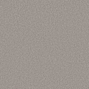 Shaw Floors Carpet New Attitude Wind Chill 00510_5E743