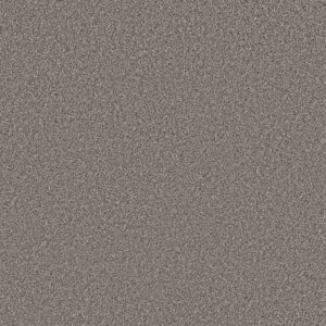 Shaw Floors Carpet New Attitude Meteor 00511_5E743
