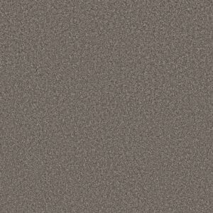 Shaw Floors Carpet New Attitude Castle Wall 00512_5E743