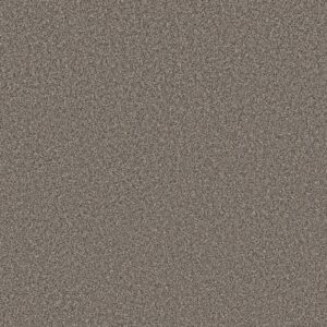 Shaw Floors Carpet New Attitude Pier 00513_5E743