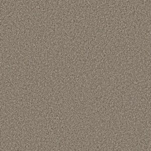 Shaw Floors Carpet New Attitude Pecan Sandie 00710_5E743