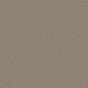 Shaw Floors Carpet New Attitude Desert Dune 00711_5E743