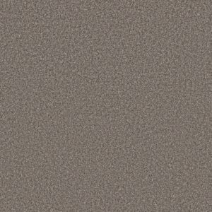Shaw Floors Carpet New Attitude Afternoon Tea 00712_5E743