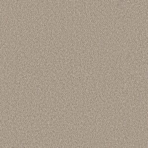 Shaw Floors Carpet Best Yet Mist 00103_5E745