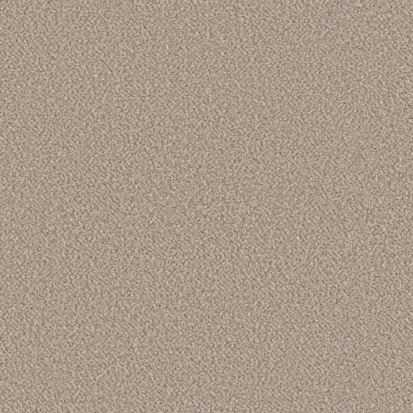 Shaw Floors Carpet Best Yet Mist 00103_5E745
