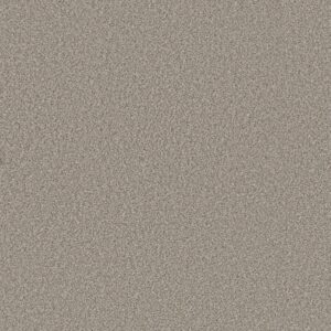 Shaw Floors Carpet Best Yet Lady Liberty 00502_5E745