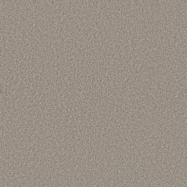Shaw Floors Carpet Best Yet Lady Liberty 00502_5E745
