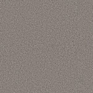 Shaw Floors Carpet Best Yet Stainless 00508_5E745