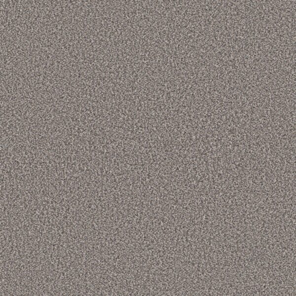 Shaw Floors Carpet Best Yet Stainless 00508_5E745