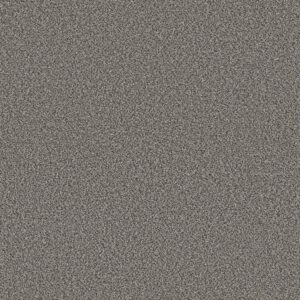 Shaw Floors Carpet Best Yet Quarry 00509_5E745