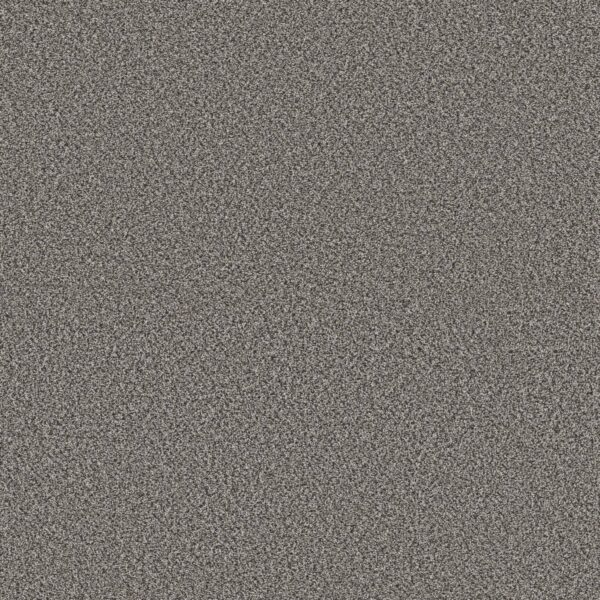 Shaw Floors Carpet Best Yet Quarry 00509_5E745