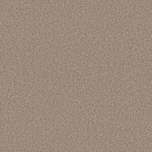 Shaw Floors Carpet Best Yet Chateau 00705_5E745