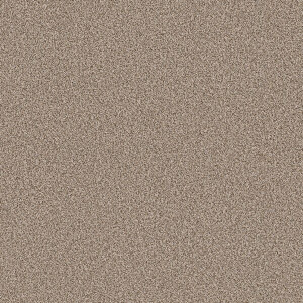 Shaw Floors Carpet Best Yet Chateau 00705_5E745