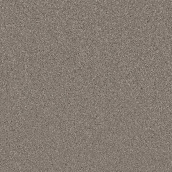 Shaw Floors Carpet Best Yet Mocha Frost 00732_5E745