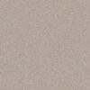 Shaw Floors Carpet Your Comfort I Sand Castle 0127S_5E746