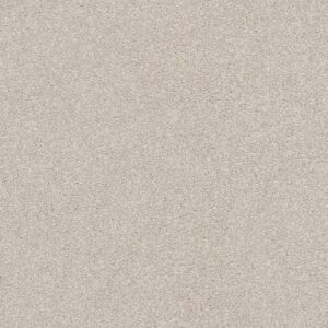 Shaw Floors Carpet Your Comfort I Shoreline Haze 0128S_5E746