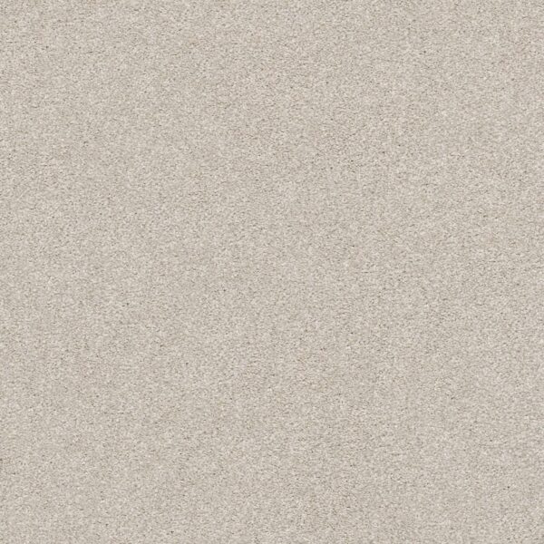 Shaw Floors Carpet Your Comfort I Shoreline Haze 0128S_5E746