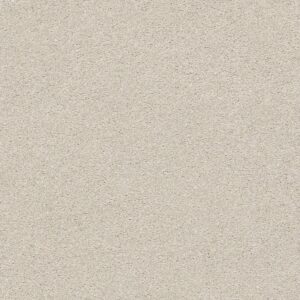 Shaw Floors Carpet Your Comfort I Need A Hug 0129S_5E746