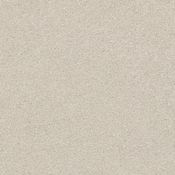 Shaw Floors Carpet Your Comfort I Need A Hug 0129S_5E746