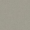 Shaw Floors Carpet Your Comfort I Willow Tree 0330S_5E746