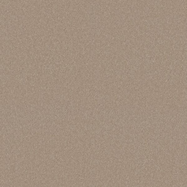Shaw Floors Carpet Your Comfort I Walk On The Beach 0721S_5E746
