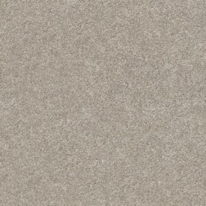 Shaw Floors Carpet Your Comfort I Back Patio 0724S_5E746