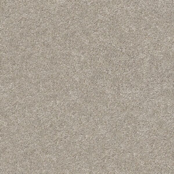 Shaw Floors Carpet Your Comfort I Back Patio 0724S_5E746