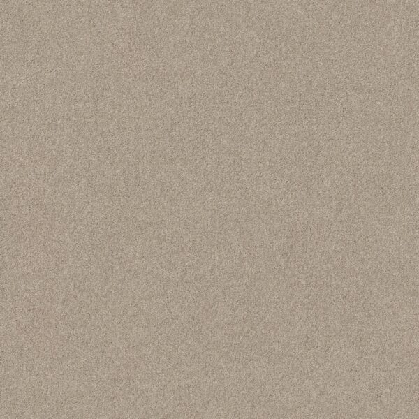 Shaw Floors Carpet Your Comfort I My Haven 0743S_5E746