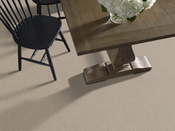 Shaw Floors Carpet Your Comfort I My Haven 0743S_5E746 - Image 2