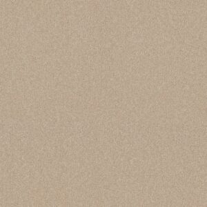 Shaw Floors Carpet Your Comfort II Sun Kissed 0110S_5E747