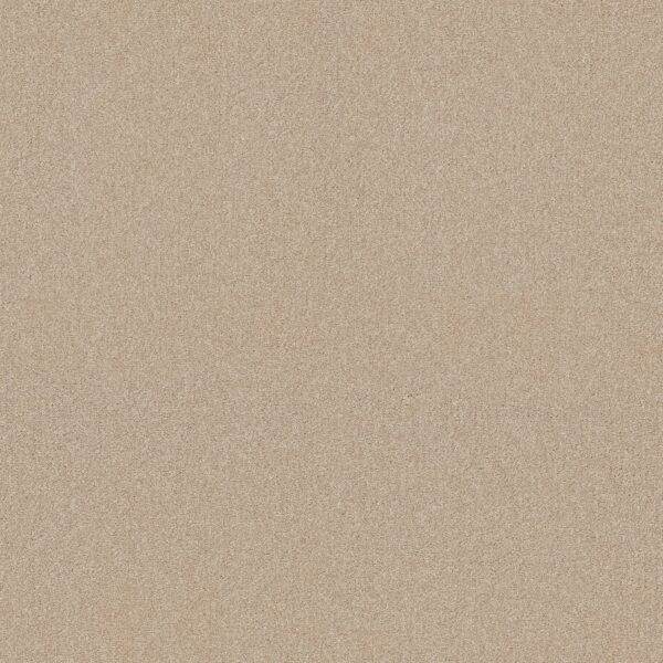 Shaw Floors Carpet Your Comfort II Sun Kissed 0110S_5E747