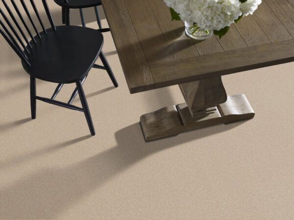 Shaw Floors Carpet Your Comfort II Sun Kissed 0110S_5E747 - Image 2