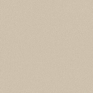 Shaw Floors Carpet Your Comfort II Vintage Quilt 0121S_5E747
