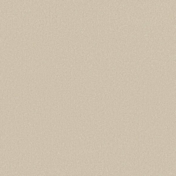 Shaw Floors Carpet Your Comfort II Vintage Quilt 0121S_5E747