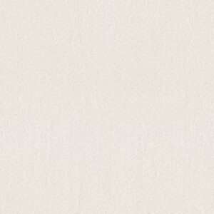 Shaw Floors Carpet Your Comfort II Clean Linen 0122S_5E747