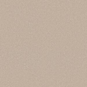 Shaw Floors Carpet Your Comfort II Happy Place 0123S_5E747