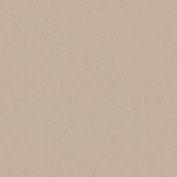 Shaw Floors Carpet Your Comfort II Happy Place 0123S_5E747