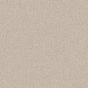 Shaw Floors Carpet Your Comfort II Homemade Ice Cream 0124S_5E747