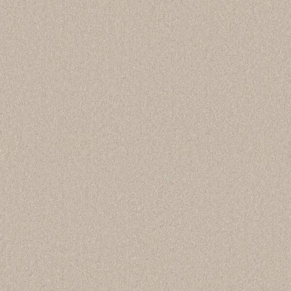 Shaw Floors Carpet Your Comfort II Homemade Ice Cream 0124S_5E747
