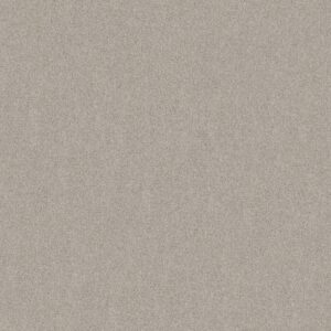 Shaw Floors Carpet Your Comfort II Chill In The Air 0126S_5E747