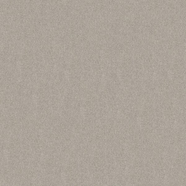 Shaw Floors Carpet Your Comfort II Chill In The Air 0126S_5E747