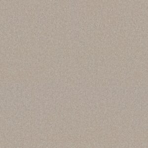 Shaw Floors Carpet Your Comfort II Sand Castle 0127S_5E747