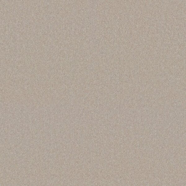 Shaw Floors Carpet Your Comfort II Sand Castle 0127S_5E747