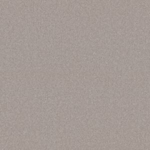 Shaw Floors Carpet Your Comfort II Shoreline Haze 0128S_5E747